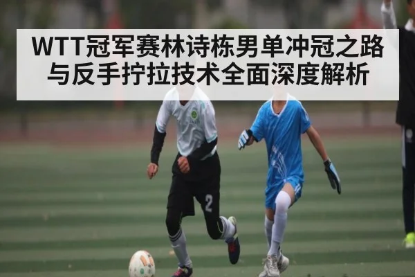 WTT冠军赛林诗栋男单冲冠之路与反手拧拉技术全面深度解析（kaiyun）